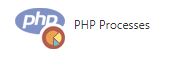 php process