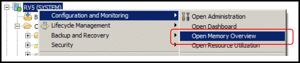 Memory Overview feature