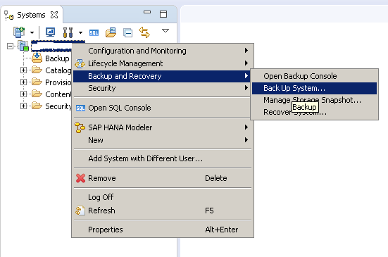 HOW TO BACKUP THE DATABASE VIA SAP HANA STUDIO