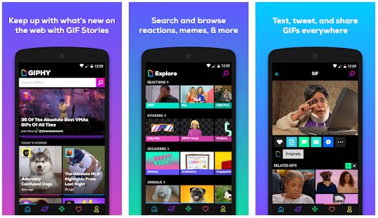 GIPHY