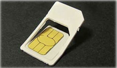 Micro-sim