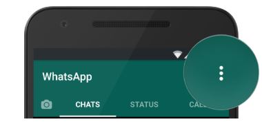 2 Ways to Get Rid of Online Status on WhatsApp