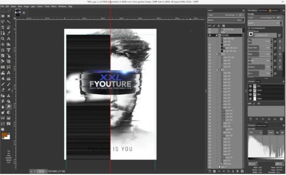 GIMP (Windows / macOS / Linux)