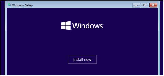 Install Now
