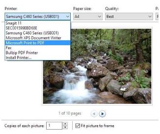 Microsoft Print to PDF