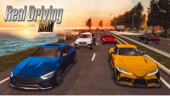 Real Driving Sim