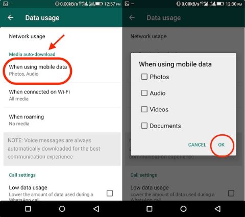 stop the automatic download of received files on WhatsApp