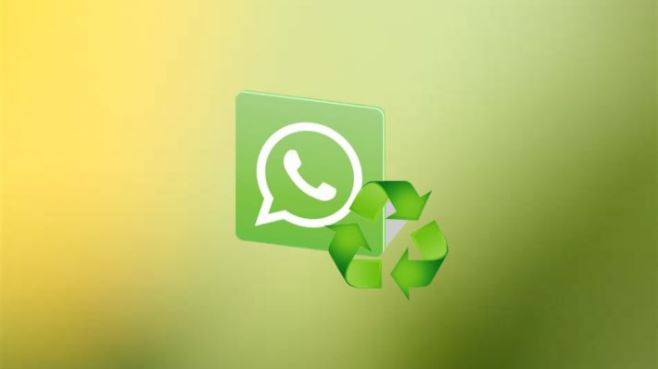 How to export chat from WhatsApp